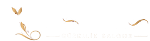 Güzellik salonu web sitesi demoları